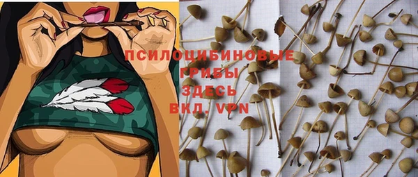 гашик Медногорск