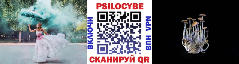 Купить где  Анадырь  Псилоцибиновые грибы GOLDEN TEACHER 